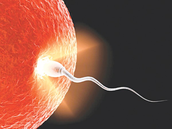 Tinh trùng ít sẽ làm giảm khả năng thụ thai của 2 vợ chồng