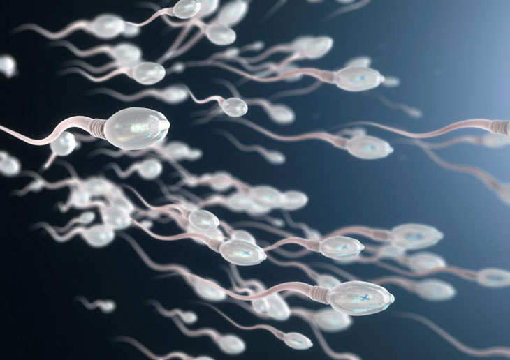 Tinh trùng yếu không gây nguy hiểm nhưng ảnh hưởng đến sinh sản ở nam giới