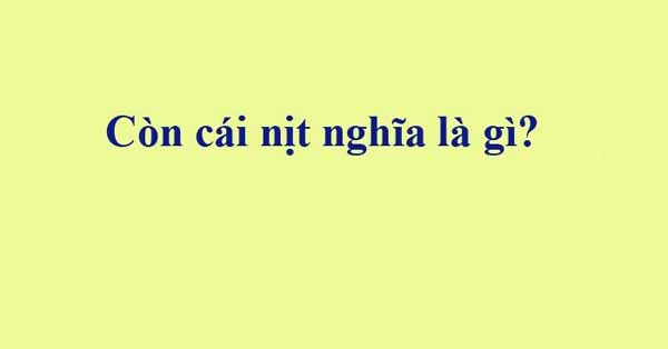 Còn cái nịt có nghĩa là gì